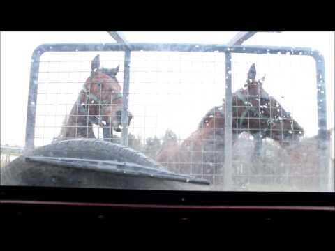 zondagmorgen bij van Dooyeweerd