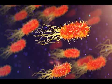 Federico Sisti será el primer presidente argentino de la American Society for Microbiology