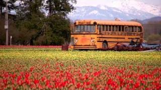 THE ALBUM LEAF "Twenty Two Fourteen" - HD