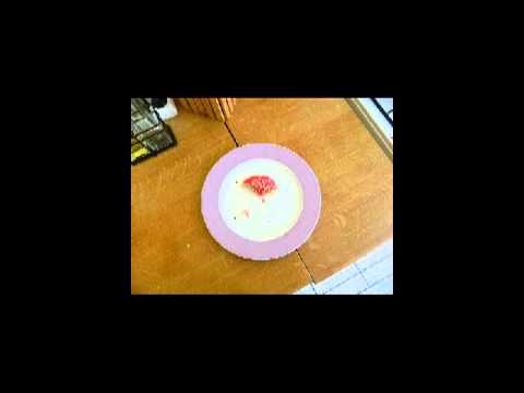 French AuPair, Typhaine, 23 - EurAupair Video Profile