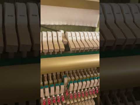 Recording Piano Part @ Kav Temperly (Eskimo Joe) Studio in Fremantle