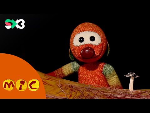 El bolet petitó | Mic