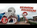 Aquarium At The Boardwalk West 76 Country Boulevard Branson Mo