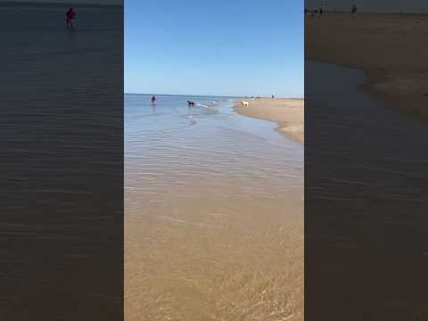 Relax, listen to sounds of wave 🌊 chilling sounds 💫😎🏝️