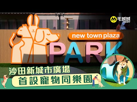 【MoNews】沙田新城市廣場寵物同樂園｜寵物歷奇區開心放電｜特設人寵野餐區