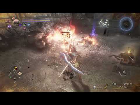 NIOH 2 pt38