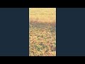 Ratri Song Pakistani Abubakar For You For You Page Viral Video Song Lyrics I YouTube Viral Video