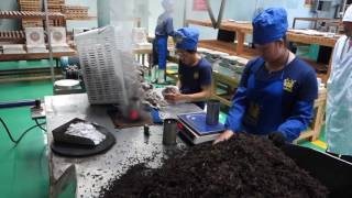 Download the video "Pu-er Tea Factory"