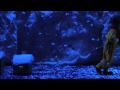 Slava S Snow Show