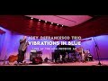 Joey DeFrancesco Trio - Vibrations In Blue - Live at the MIM Phoenix