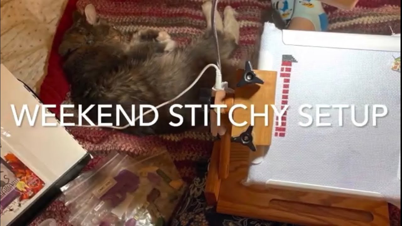 Weekend Stitchy Setup ( Simply Third Street short)