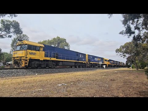 7XM4 PN up Steelie/Intermodal (5x NRs, 35W), Spencer Jnc to Melbourne, 1055, 14/12/25, Horsham VIC