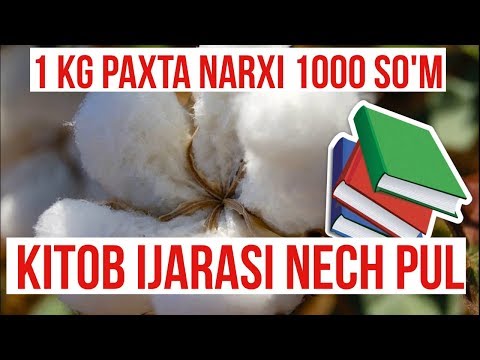 Bu yil 1kg paxta necha pul?  Kitob ijarasi necha pul 2019da?