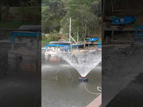 Hermoso lugar. La Esperanza, Intibuca #laguna #remos #diversión #reels #shortvideo