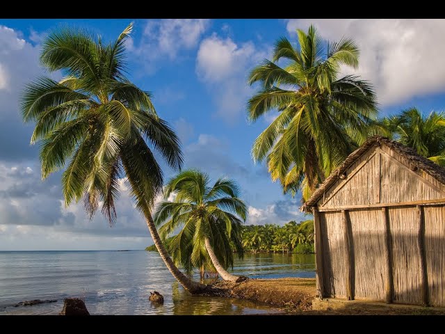 Vídeo relacionado con Lonely Planet Madagascar: Perfect for exploring top sights and taking roads less travelled (Travel Guide)
