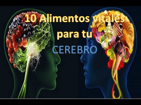 Colina, el nutriente esencial que no conocías