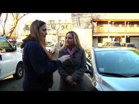 Dangers of cats and cars in cold weather - BC SPCA