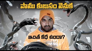 Snakes Shedding Mystery | Top 10 Interesting Facts In Telugu | Telugu Facts | V R Facts In Telugu