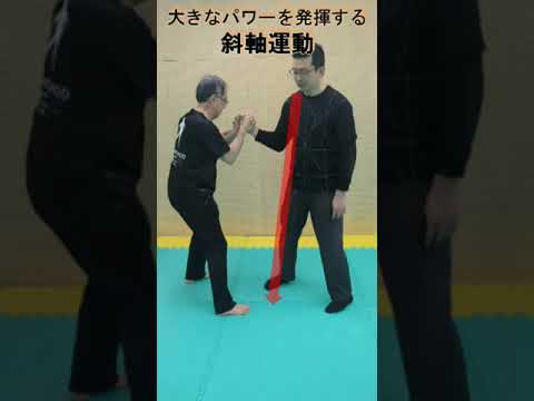 大きなパワーを発揮する斜軸運動〈崩しやパンチ力が強くなる！〉 #武術 #空手 #karate