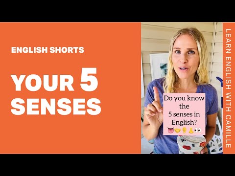 「5 Senses for Love」: それが新しい土曜1デート番組の裏側にあるもの