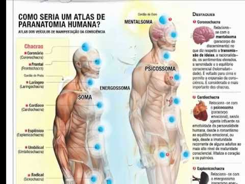 Infográfico Holossoma (Esquema gráfico-visual Infotares)