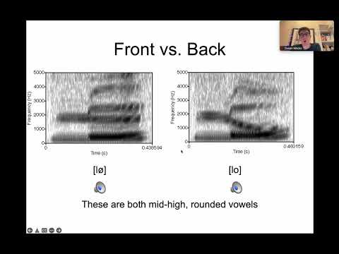 Linguistics 341 - Introduction to Phonetics - Vowels Around the World