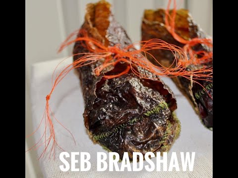 Seb Bradshaw — Presentation and Feedback Session