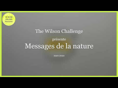 WILSON CHALLENGE - "MESSAGES DE LA NATURE" BY DJI-MING LUK