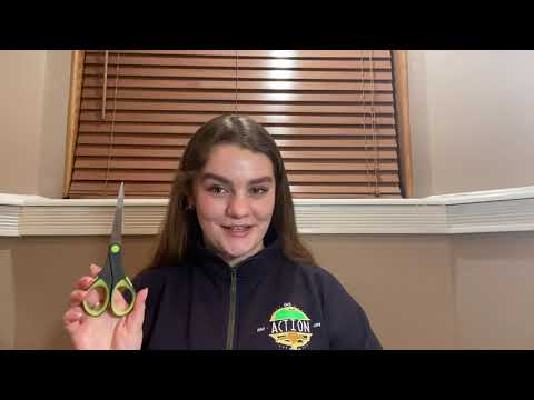 How to Make a Rainbow Pop-Up Card