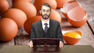 דם בביצים | שואל ומשיב | הרב אשר זנזורי