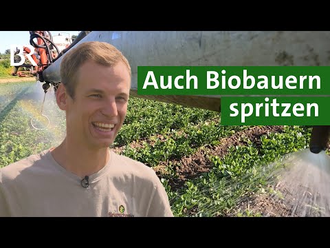 Ökologischer Landbau: Bio Landwirt macht Pflanzenschutz – mit Kupfer spritzen | Unser Land | BR