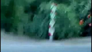 Borracho afirmate concha de tu madre Remix