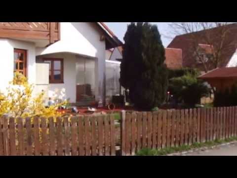 Wiesenbach in grüner Umgebung und jetzt Der Weg ums Haus