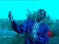 Tadele Gemechu Yaamioftuu
