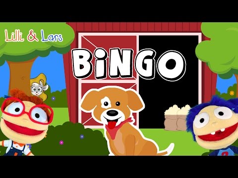 comptine B-I-N-G-O - bingo chanson francaise - bingo le chien chanson