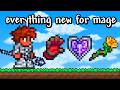 Everything New to Mage Class