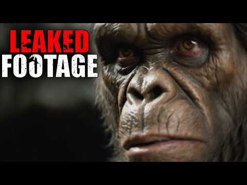 THE BEST BIGFOOT SIGHTINGS Compiled in One Video