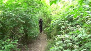 Mule TV  A Eurovision Almanac Part 2