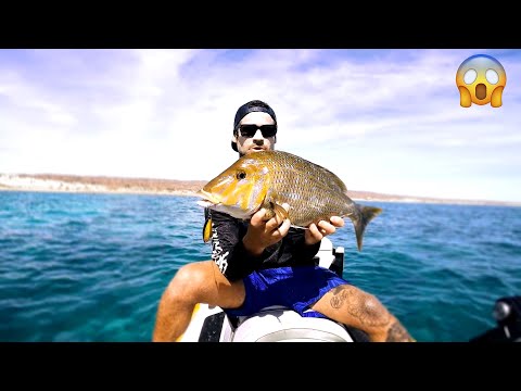 Catching GIANT CRAYFISH With Bare Hands for Survival | Living Off the Ocean