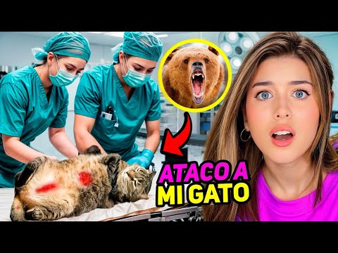 THEY ATTACKED MY CAT!!❤️‍🩹