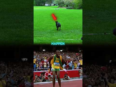 Usain Bolt vs. Dog 100m 😧🤯🔥
