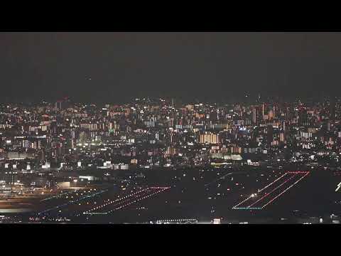 Osaka International Airport (Domestic)