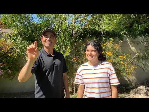 ASL with Saporito! Fingerspell the Alphabet
