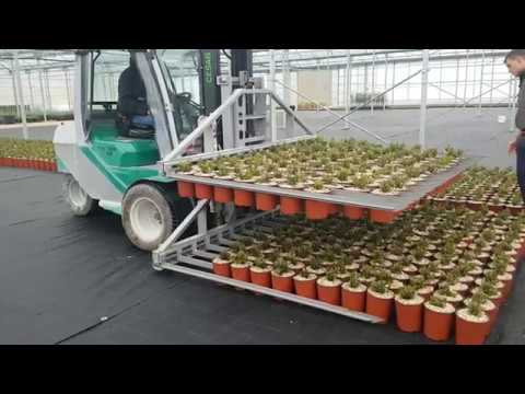 Meccanizzazione in Vivaio