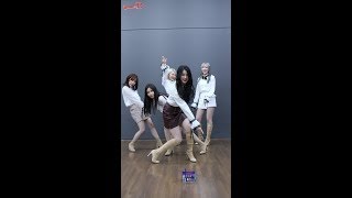 WANNA.B [LEGGO] 세로 릴레이 댄스