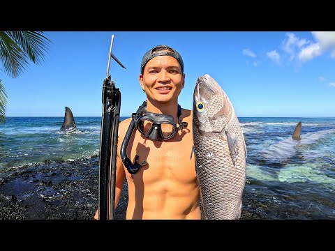 Fighting Sharks For Survival And Food