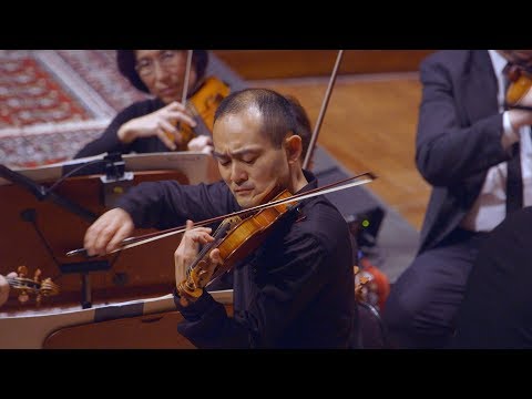 Meet the SFS Musicians: Violinist Chen Zhao