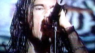 STEREOMUD FARMCLUB 2000