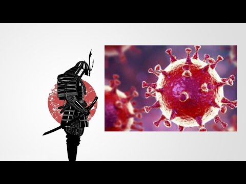 QUELQUES RÉFLEXIONS SUR L'EXCEPTIONNEL PEUPLE JAPONAIS ET LEUR GESTION DE LA CRISE DU COVID-19