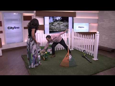 download lagu mp3 mp4 How To Tell If You Have Moles In Lawn, download lagu How To Tell If You Have Moles In Lawn gratis, unduh video klip How To Tell If You Have Moles In Lawn